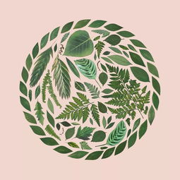 超治愈平面設(shè)計(jì) 一家人要整整齊齊的創(chuàng)意理念在網(wǎng)頁中的應(yīng)用